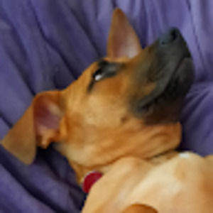 Meet your Posher, Grace